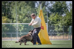 Securitas-BA-A-4