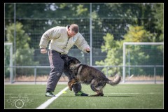 Securitas-BA-A-5