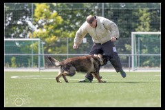 Securitas-BA-A-7