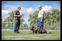 Securitas-BA-A-9