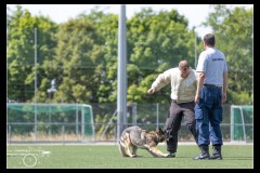 Securitas-BA-B-11