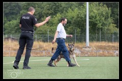 Securitas-BA-B-5