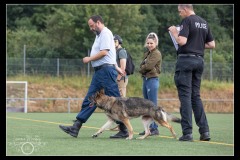 Securitas-BA-B-6